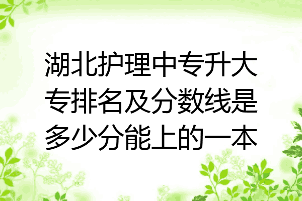 湖北护理中专升大专排名及分数线是多少分能上的一本