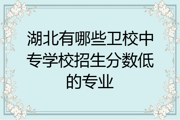 湖北有哪些卫校中专学校招生分数低的专业