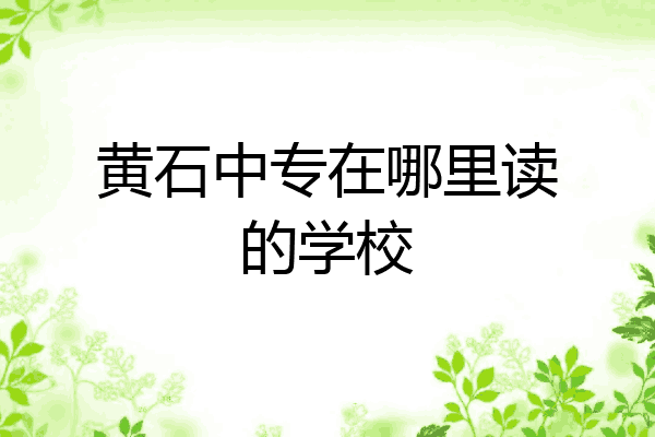 黄石中专在哪里读的学校