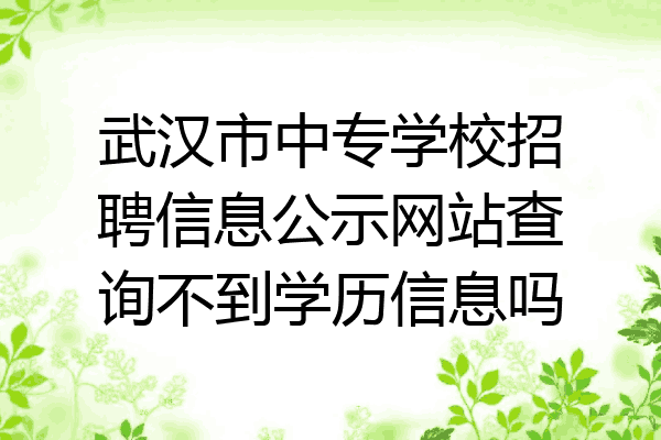 武汉市中专学校招聘信息公示网站查询不到学历信息吗