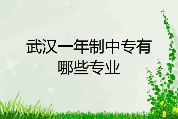 武汉一年制中专有哪些专业
