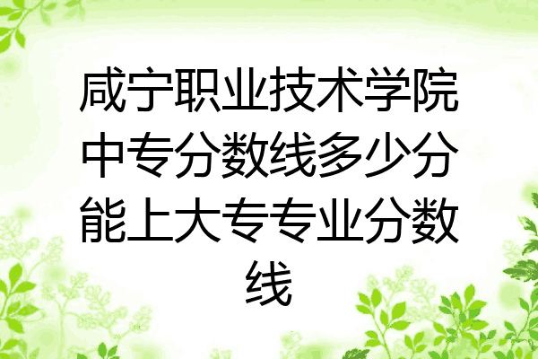 咸宁职业技术学院中专分数线多少分能上大专专业分数线