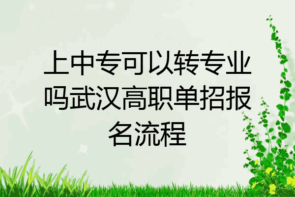 上中专可以转专业吗武汉高职单招报名流程
