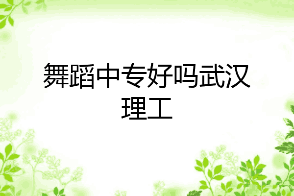 舞蹈中专好吗武汉理工