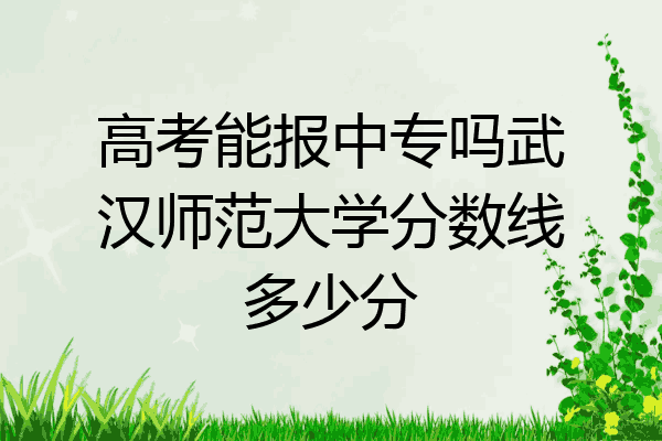 高考能报中专吗武汉师范大学分数线多少分