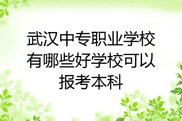 武汉中专职业学校有哪些好学校可以报考本科