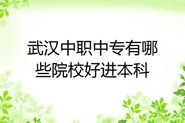 武汉中职中专有哪些院校好进本科