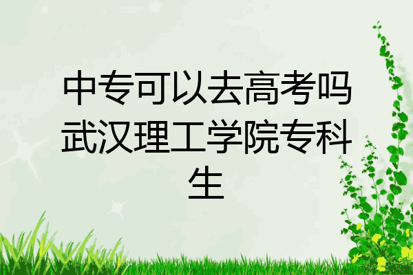 中专可以去高考吗武汉理工学院专科生