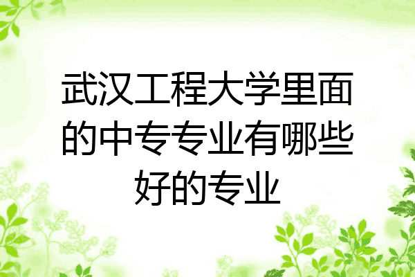 武汉工程大学里面的中专专业有哪些好的专业