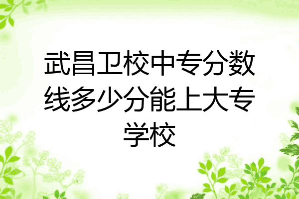武昌卫校中专分数线多少分能上大专学校