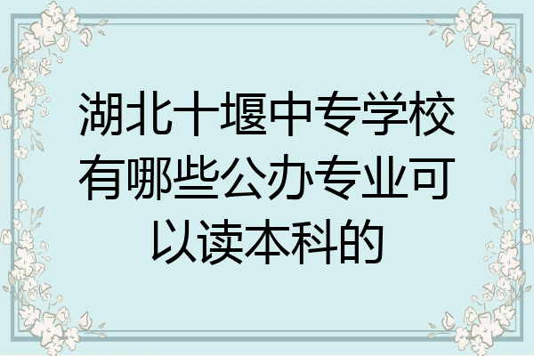 湖北十堰中专学校有哪些公办专业可以读本科的