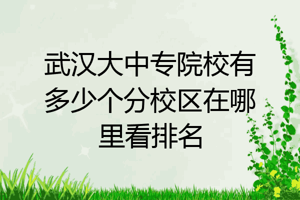 武汉大中专院校有多少个分校区在哪里看排名