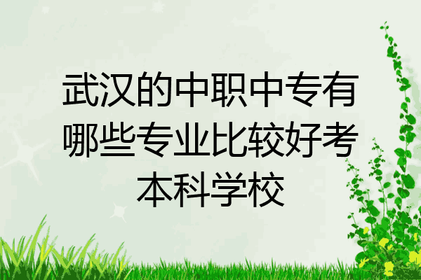 武汉的中职中专有哪些专业比较好考本科学校