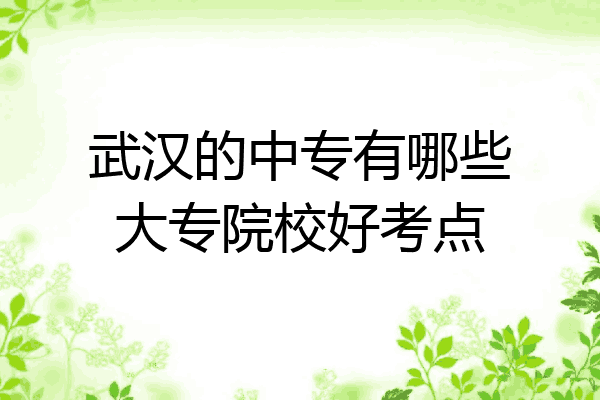 武汉的中专有哪些大专院校好考点