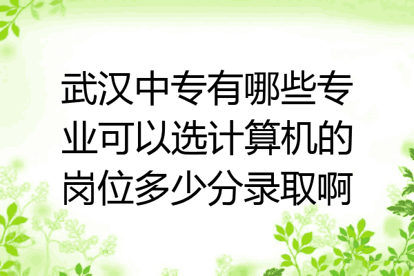 武汉中专有哪些专业可以选计算机的岗位多少分录取啊