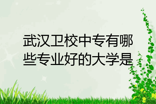 武汉卫校中专有哪些专业好的大学是
