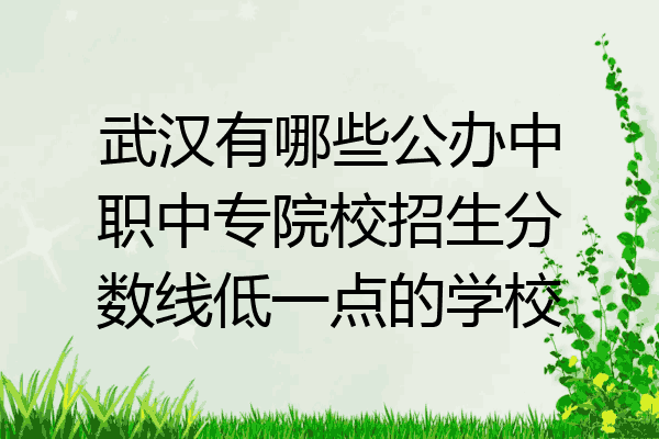 武汉有哪些公办中职中专院校招生分数线低一点的学校