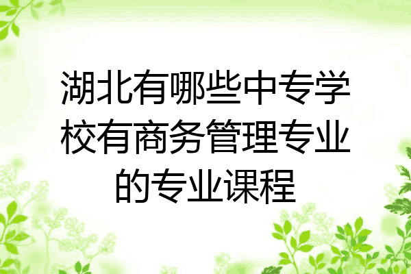 湖北有哪些中专学校有商务管理专业的专业课程