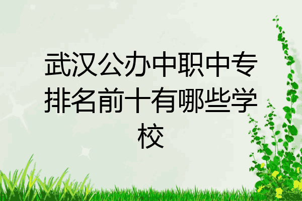 武汉公办中职中专排名前十有哪些学校