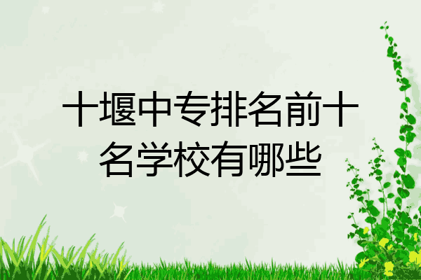 十堰中专排名前十名学校有哪些