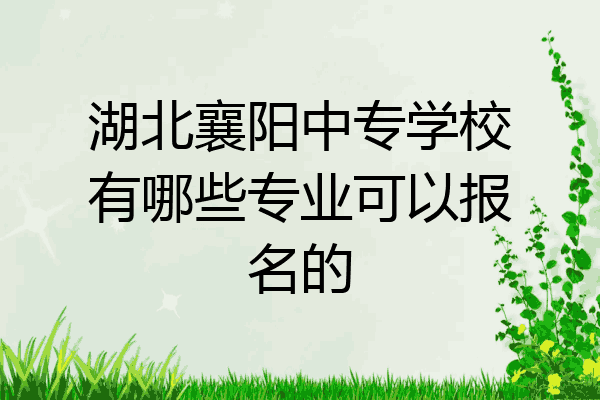 湖北襄阳中专学校有哪些专业可以报名的