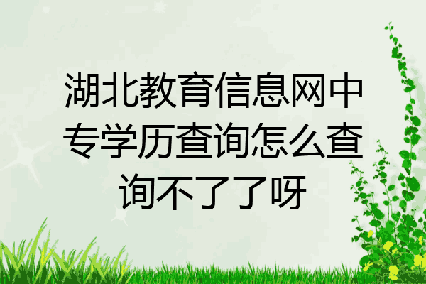 湖北教育信息网中专学历查询怎么查询不了了呀