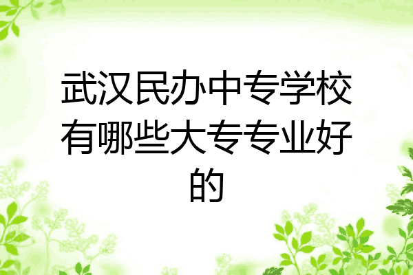 武汉民办中专学校有哪些大专专业好的