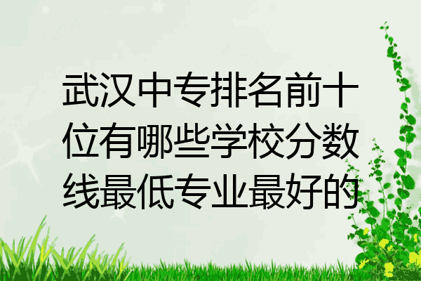 武汉中专排名前十位有哪些学校分数线最低专业最好的