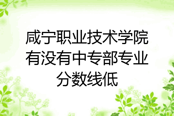咸宁职业技术学院有没有中专部专业分数线低