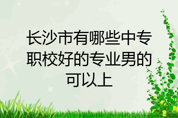 长沙市有哪些中专职校好的专业男的可以上