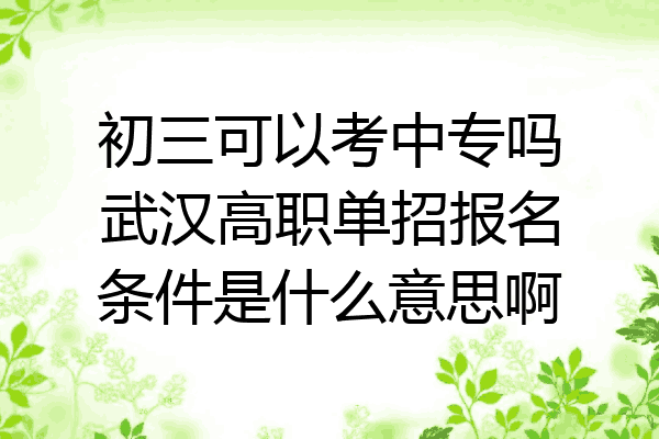 初三可以考中专吗武汉高职单招报名条件是什么意思啊