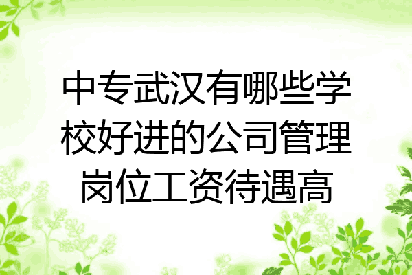 中专武汉有哪些学校好进的公司管理岗位工资待遇高