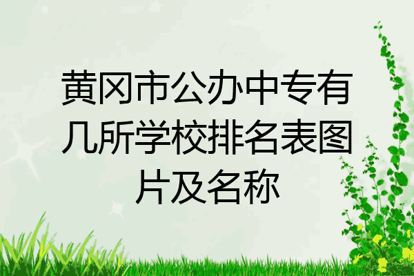 黄冈市公办中专有几所学校排名表图片及名称