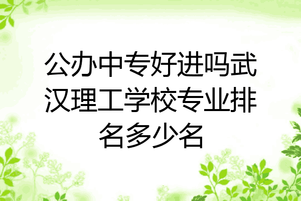 公办中专好进吗武汉理工学校专业排名多少名