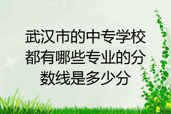 武汉市的中专学校都有哪些专业的分数线是多少分