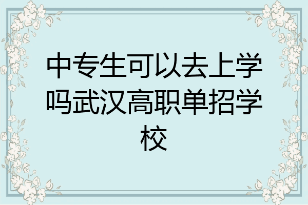 中专生可以去上学吗武汉高职单招学校