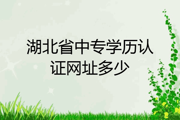 湖北省中专学历认证网址多少