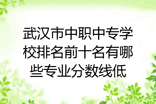 武汉市中职中专学校排名前十名有哪些专业分数线低