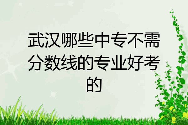 武汉哪些中专不需分数线的专业好考的