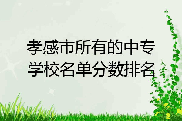 孝感市所有的中专学校名单分数排名