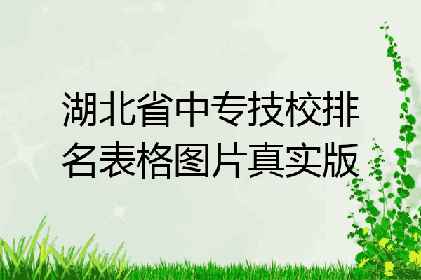 湖北省中专技校排名表格图片真实版
