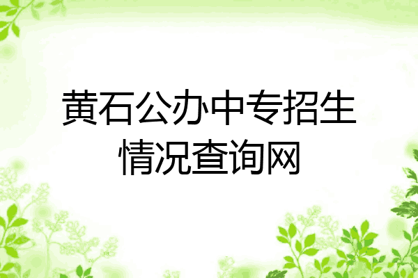 黄石公办中专招生情况查询网