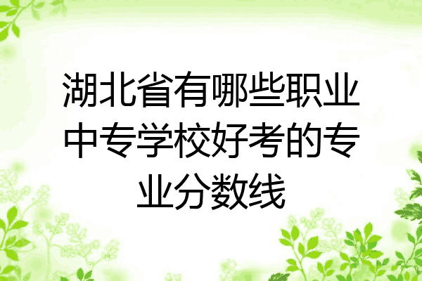湖北省有哪些职业中专学校好考的专业分数线