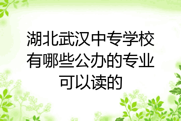湖北武汉中专学校有哪些公办的专业可以读的
