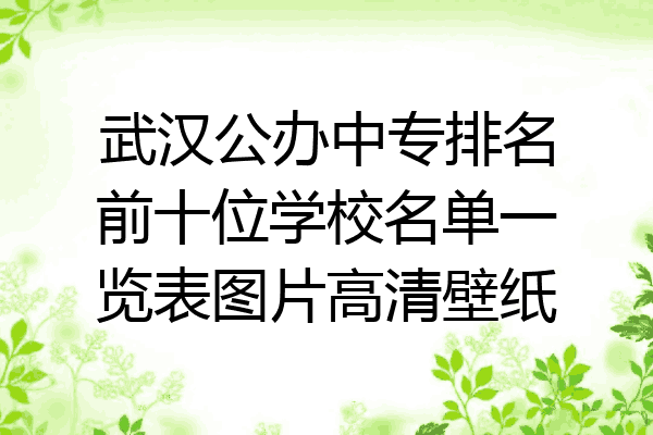武汉公办中专排名前十位学校名单一览表图片高清壁纸