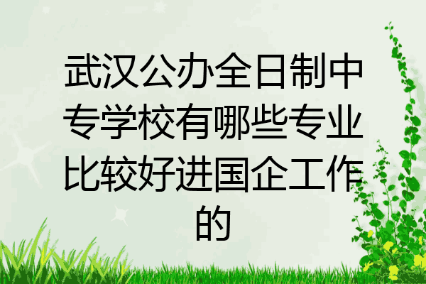 武汉公办全日制中专学校有哪些专业比较好进国企工作的