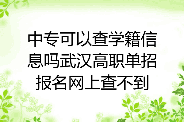 中专可以查学籍信息吗武汉高职单招报名网上查不到
