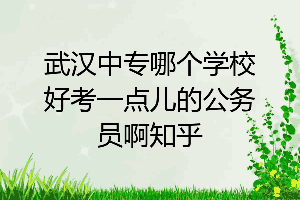 武汉中专哪个学校好考一点儿的公务员啊知乎