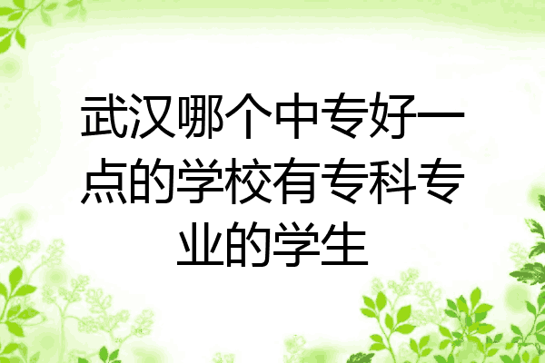武汉哪个中专好一点的学校有专科专业的学生