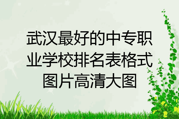 武汉最好的中专职业学校排名表格式图片高清大图